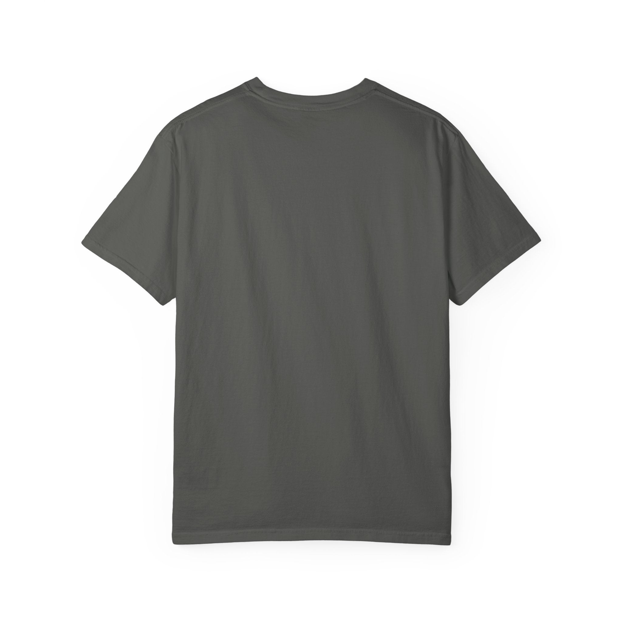 Christian Desert Scene T-Shirt — "The Devil Can Scrap, But the Lord Has Won"